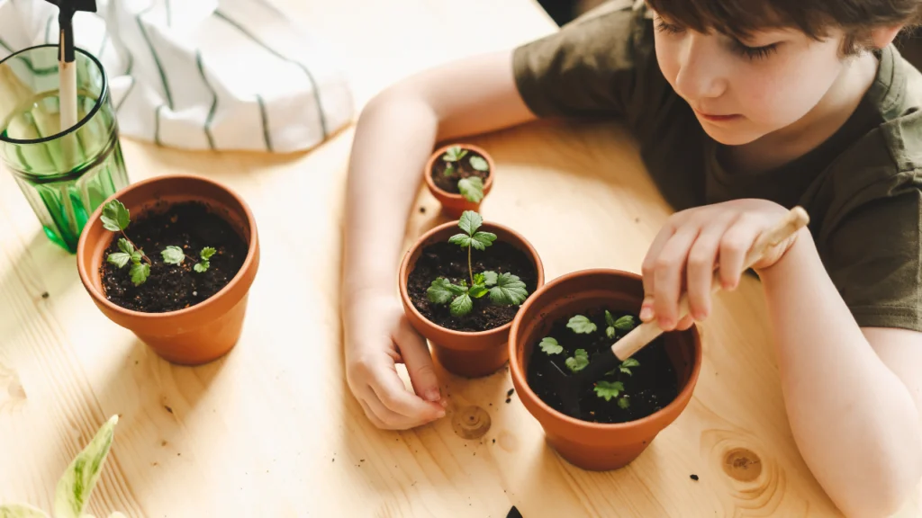 boy is planting the seeds into the pots