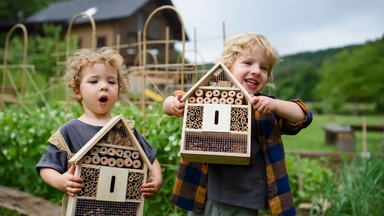 Brothers are holding wooden bird houses
