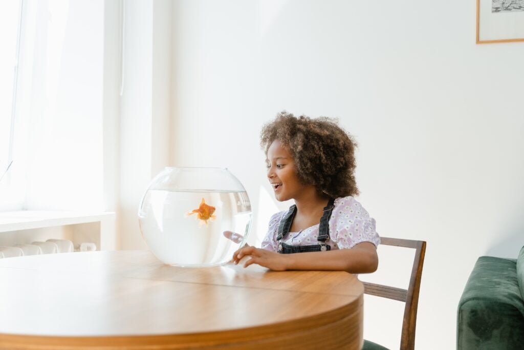 a girl is looking at  her pet gold fish